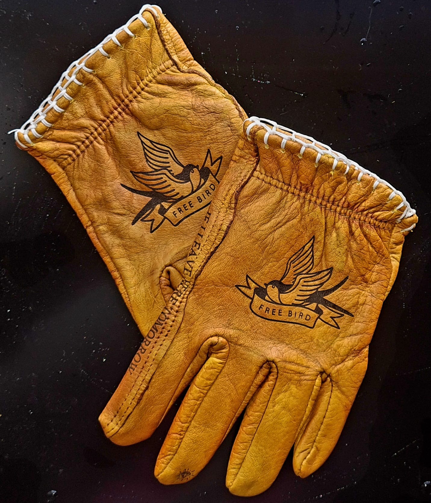 Leather Gloves FREE BIRD - Phoenix 212 Clothing