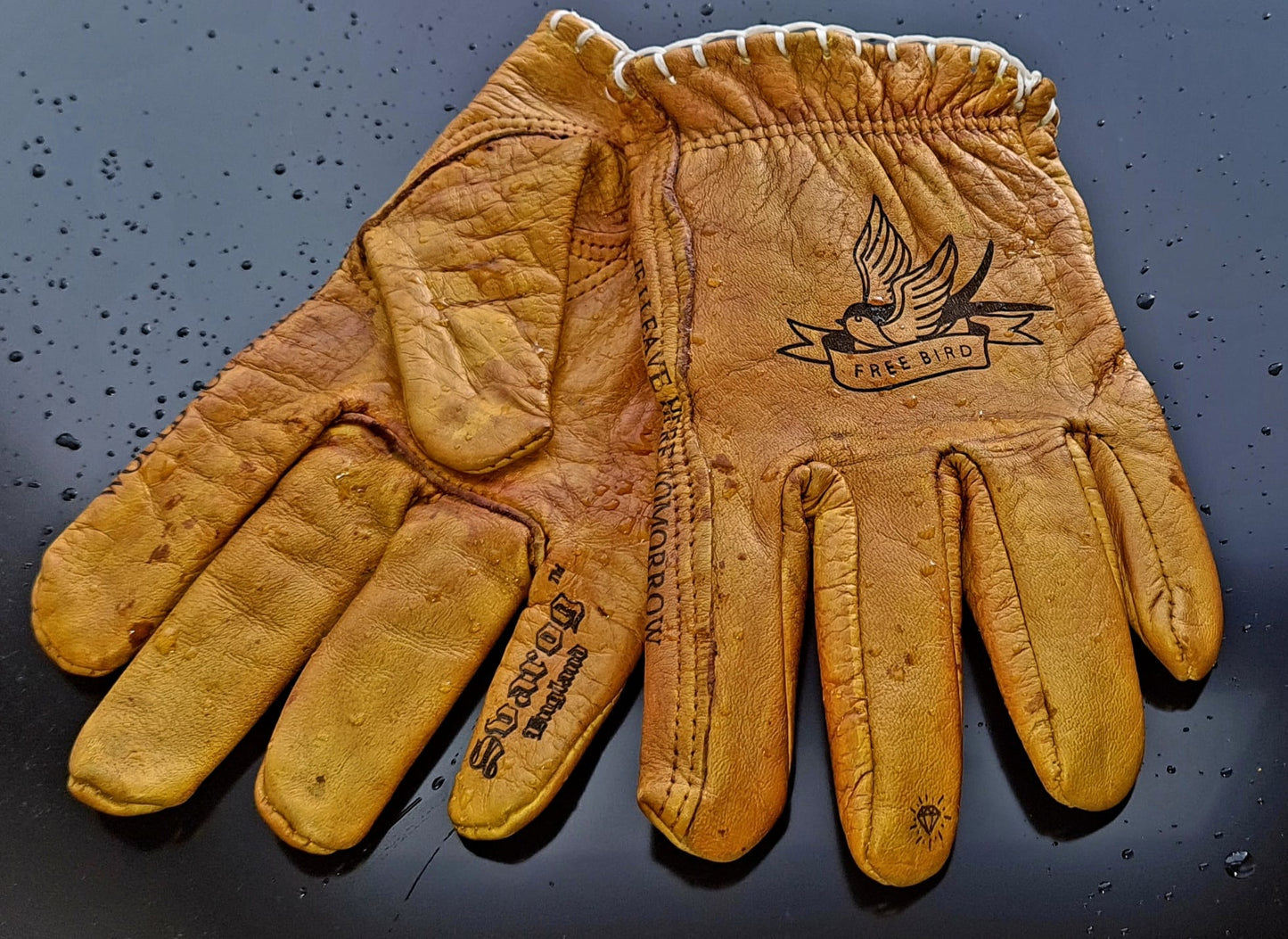 Leather Gloves FREE BIRD - Phoenix 212 Clothing