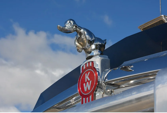 Angry Rubber Duck Hood - Phoenix 212 Clothing