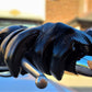 Hand Made Gloves STORM 7819 Black